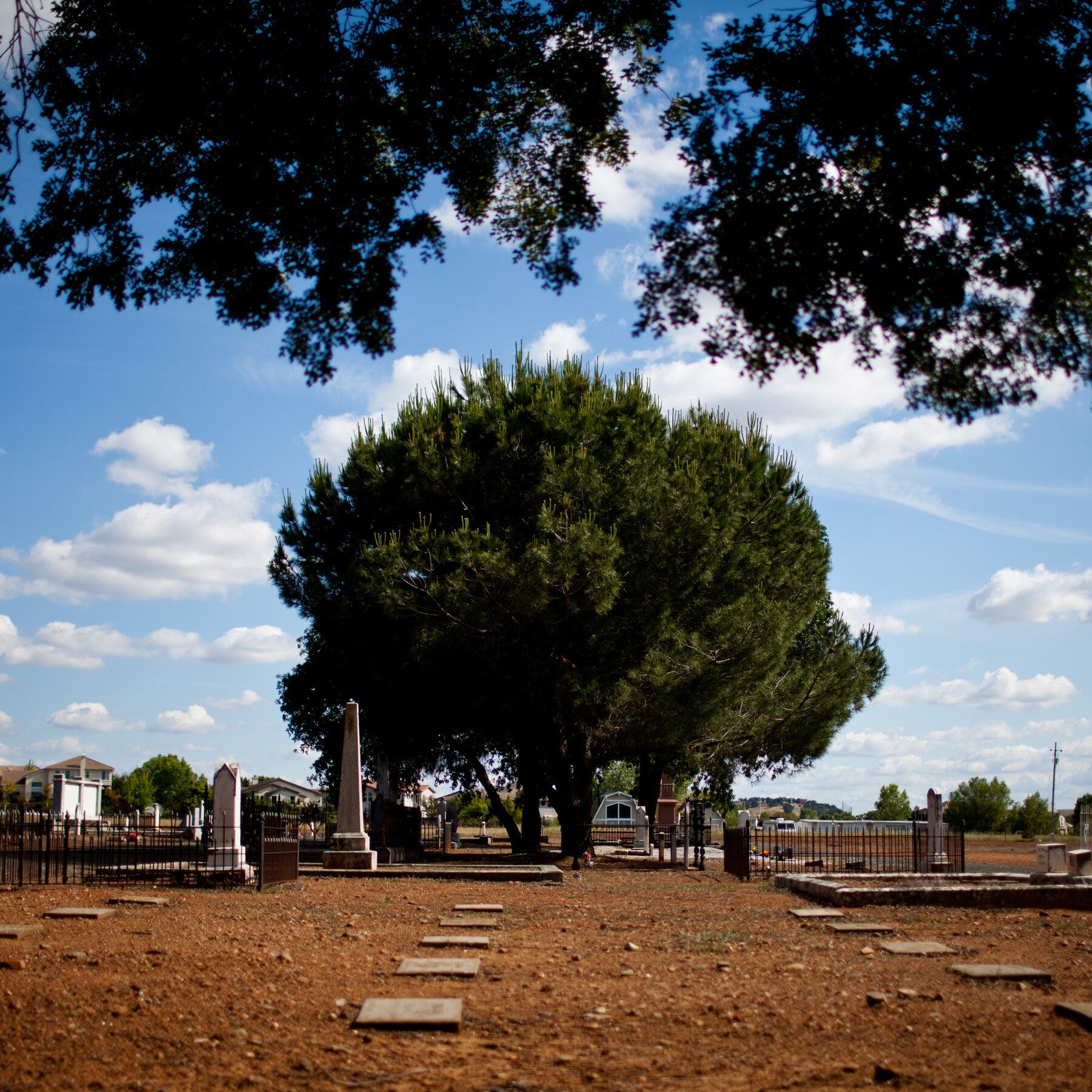 Where to Learn More About Black History in California