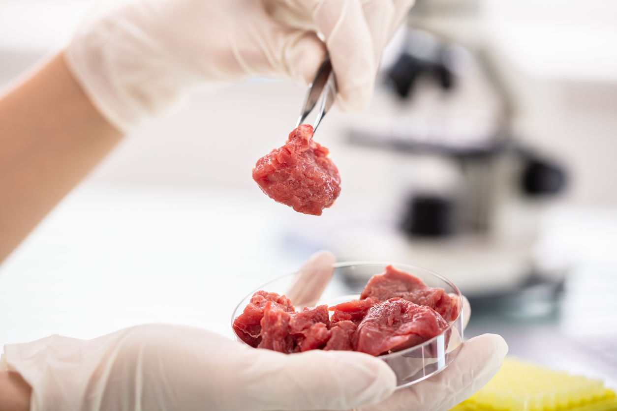 The Debate Over Lab-Grown Meat: Legislative Actions and Industry Responses